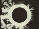 Bauhaus 2-LP vinyl record (Double Album) The Sky's Gone Out + Live LP UK