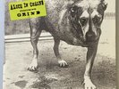 Alice In Chains Self Titled Vinyl 2LP Original 1995 USA 1st Pressing