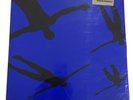 Muse - Absolution Album Sampler - Vinyl (4 Tracks) -   (2003)