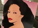 1982 ANDY WARHOL ART COVER DIANA ROSS 12 INCH VINYL Silk ORIGINAL NM RARE