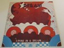 DREAM.. LIVING IN A DREAM  PRIVATE MICHIGAN PSYCH LP LTD DREAMUSIC LB M