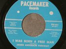 JAMES ANDERSON PARKWAY A/K/A PIPS: i was born a free man / free & easy life 7