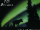 Vital Remains - Into Cold Darkness (Limited Edition) [Vinyl LP] /