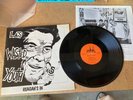 record lp vinyl grunge punk La's wasted youth Reagan's in