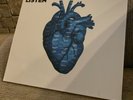 THE KOOKS SEALED NEW LISTEN VINYL BRITPOP LP RADIOHEAD ARCTIC MONKEYS Promo