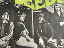 Seeds Brazil PROMO LP 67' Garage Psych PUSHIN TOO HARD Vinyl Disc Record ROCK