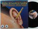 BUTTHOLE SURFERS Electriclarryland CAPITOL 2XLP VG++ etched disc   
