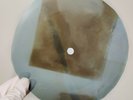 NINA SIMONE WHATEVER I AM X-Ray USSR Record Roentgen Bones Ribs Music Vinyl