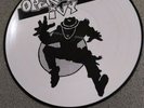 OPERATION IVY S/T Picture Disc 2004 LP Rancid VG ska punk skunk pa tim Armstrong