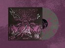 Beartooth Below Signed Vinyl LP Grey W/ Purple Splatter LE 800
