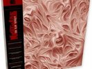 BOX OF SOULS A NIGHTMARE ON ELM STREET C