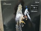 The Courteeners LP Falcon sealed on White Vinyl Record