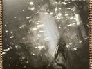 YEAH YEAH YEAHS Is Is 2x 7” Vinyl EP Polydor Dress Up 1741099 2007 RARE CLEAN