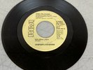 JOSE FELICIANO - GOLDEN LADY 45 VINYL RECORD PROMO (TY-38)