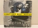 Comptons Most Wanted Growin' Up In The Hood 12