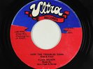 Roots Reggae 45 - Flick Wilson - Keep The Troubles Down - Ultra - VG+ mp3