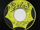 Ska/R&B 45 - Techniques - I'm So In Love With You - Gala Jamaica - VG+ mp3