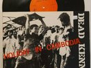 DEAD KENNEDYS HOLIDAY IN CAMBODIA 12