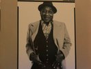 Muddy Waters - Hard Again -'77 BlueSky 34449 w/Johnny Winter/James Cotton-MINT  