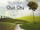 Owl City - ALL THINGS BRIGHT AND BEAUTIFUL - Vinyl 2 LP - NEW & SEALED  Rare