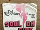DEL RICHARDSON / SOUL ON FIRE / FUNK BOOGIE 45 PICTURE COVER