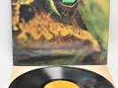 TOAD (HEAVY / PROG ROCK / PSYCH) ‘Self-Titled’ 1972 Vinyl LP on RCA 1E/2E - N05