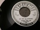 Randy And The Radiants My Way Of Thinking 45 Record Org.Sun #398 white promo M-