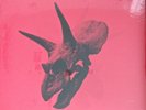 ALICE IN CHAINS-THE DEVIL PUT DINOSAURS HERE -BRAND NEW 2LP COLOR VINYL