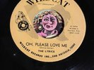 Doo Wop/Sweet Soul The Lyrics “Oh Please Love Me” VG+