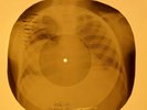 Doors - Love Street X-RAY OF USSR X-RAY BONES RECORD