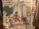 Animal Collective: Feels - Vinyl 2x LP - 2021 Domino Reissue