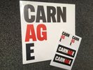 Nick Cave & Warren Ellis ?– Carnage - Album LP VINYL & Sticker Set - New Sealed