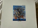 Talk Talk, Spirit Of Eden vinyl LP, 1988