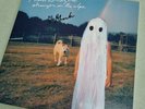 SIGNED Phoebe Bridgers: Stranger In The Alps Vinyl Lavender
