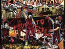 YEAH YEAH YEAHS Fever To Tell VINYL 12