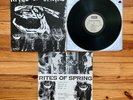 Rites of Spring S/T Self-Titled LP Vinyl Dischord No 16 Emo Post Hardcore VG+/VG