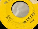 Garage 45 -The Little Bits - 