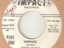 THE SHADES OF BLUE Happiness IMPACT PROMO DETROIT ZTSC NORTHERN SOUL USA 45