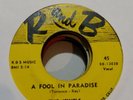 DOO WOP The Jewels Oh Yes I Know / A Fool in Paradise R and B 1303 1954