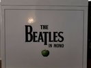 Beatles - In Mono Vinyl 14 LP Box Set 2014 Never Played, Like New