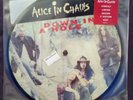 Alice in Chains Down in a Hole/ Rooster new picture disc 7