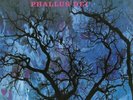 AMON DUUL - Phallus Dei - Vinyl - **BRAND NEW/STILL SEALED** - RARE