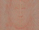 CHRISTIAN BLAND & REVELATORS / - Split Ep - Vinyl - *BRAND NEW/STILL SEALED*