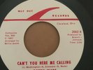 Northern Soul 45/ Bobby Wade 