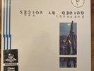 Guided by Voices Bee Thousand Clear Vinyl LP Newbury Comics Limited Edition