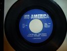 Limousine 