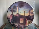 PINK FLOYD animals *rare picture disc* LP psych rock