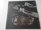 Vinyle / Lp 33 T BULLET FOR MY VALENTINE   The poison  2005  Torment 50LP Rare