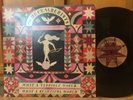 Decemberists What A Terrible Beautiful World EX/VG+ 2LP