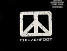 Chickenfoot LP (Vinyl, Jun-2009, Redline Records) NEW RARE SEALED